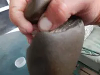 DSCN2144.webp