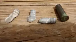 Bullets and Case 1.webp