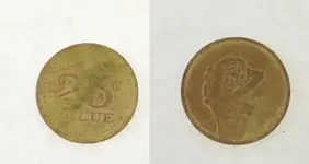 topless token.webp