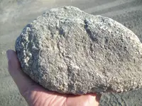 101_8471.webp