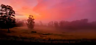 6418.webp