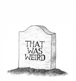 Weird.webp
