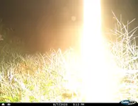I__00548.webp