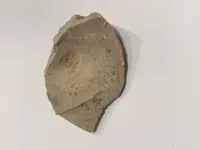 stone1.webp stone1.webp