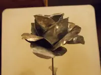 DSCN1799.webp