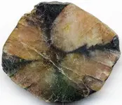 Chiastolite1.webp