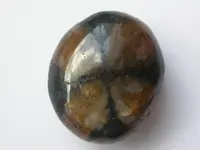 Chiastolite2.webp