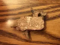 IMG_1821 (2).webp IMG_1821 (2).webp