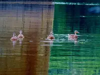 DSCN0318_InPixio.webp