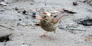 K1024_DSCN0313.webp