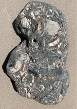 ImageUploadedByTreasureNet.com1597175405.850847.webp