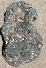 ImageUploadedByTreasureNet.com1597175415.955161.webp