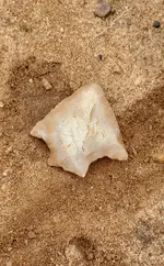 20200822_105117.webp