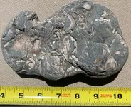 ImageUploadedByTreasureNet.com1597175486.609302.webp