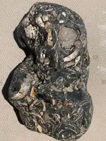 ImageUploadedByTreasureNet.com1597175497.835930.webp
