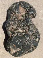 ImageUploadedByTreasureNet.com1597175505.892147.webp