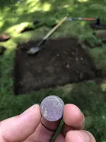 buffalo nickel.webp buffalo nickel.webp