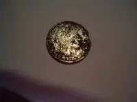 DSCF0204.webp