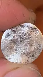 coin 4.webp