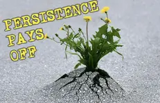 0A5BAD5C-9D8B-4698-9F40-218636C3BAC7.webp