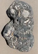 ImageUploadedByTreasureNet.com1597195234.135394.webp