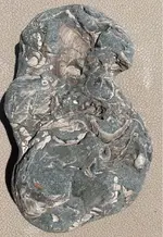 ImageUploadedByTreasureNet.com1597195243.982121.webp ImageUploadedByTreasureNet.com1597195243.982121.webp