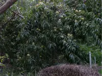 Screen Shot 2020-09-03 at 9.26.44 AM.webp
