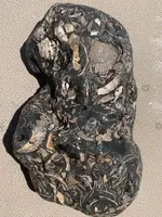 ImageUploadedByTreasureNet.com1597195322.753053.webp