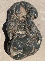 ImageUploadedByTreasureNet.com1597195330.207262.webp