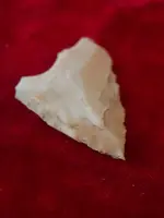ImageUploadedByTreasureNet.com1597198278.220555.webp