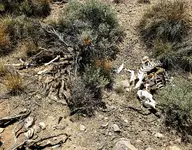 20200811_200317.webp