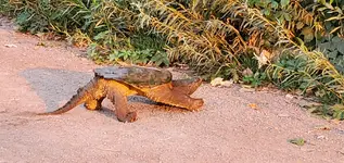 20200823_073001.webp