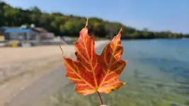20200923_112230.webp 20200923_112230.webp