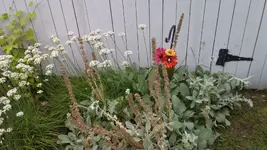 0903201639[1].webp