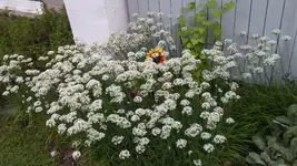 0903201639a[1].webp