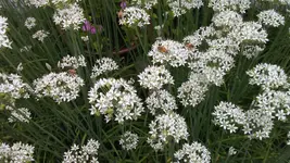 0903201641[1].webp