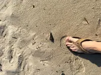 In situ.webp