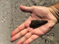 In hand.JPG In hand.JPG