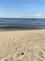 Beach.webp
