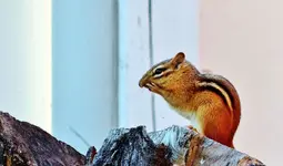 DSCN0438_InPixio.webp