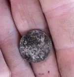 Park Finds 10-10-20 002.webp