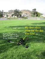 Park Finds 10-10-20 003.webp