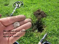 Park Finds 10-10-20 004.webp