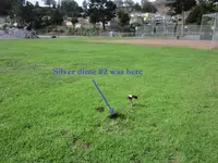 Park Finds 10-10-20 005.webp