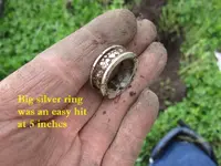 Park Finds 10-10-20 007.webp