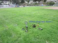 Park Finds 10-10-20 008.webp