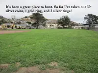 Park Finds 10-10-20 009.webp