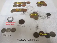 Park Finds 10-10-20 019.webp