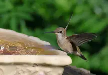 01111KEE-1.webp