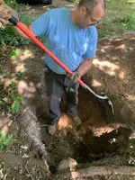 ImageUploadedByTreasureNet.com1595201449.316389.webp ImageUploadedByTreasureNet.com1595201449.316389.webp